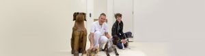 Medewerkers Dierenarts