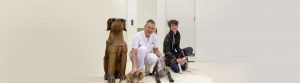 dierenarts-praktijk-lammers